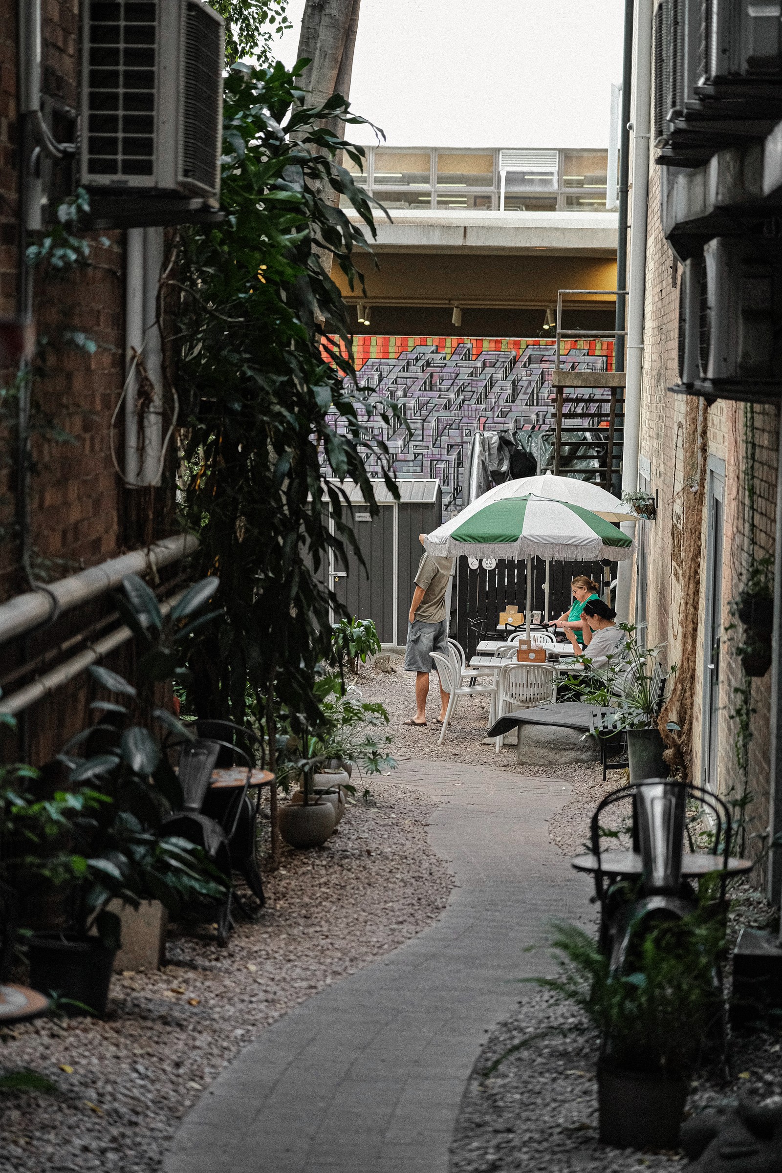 A leafy lane leading into the café courtyard