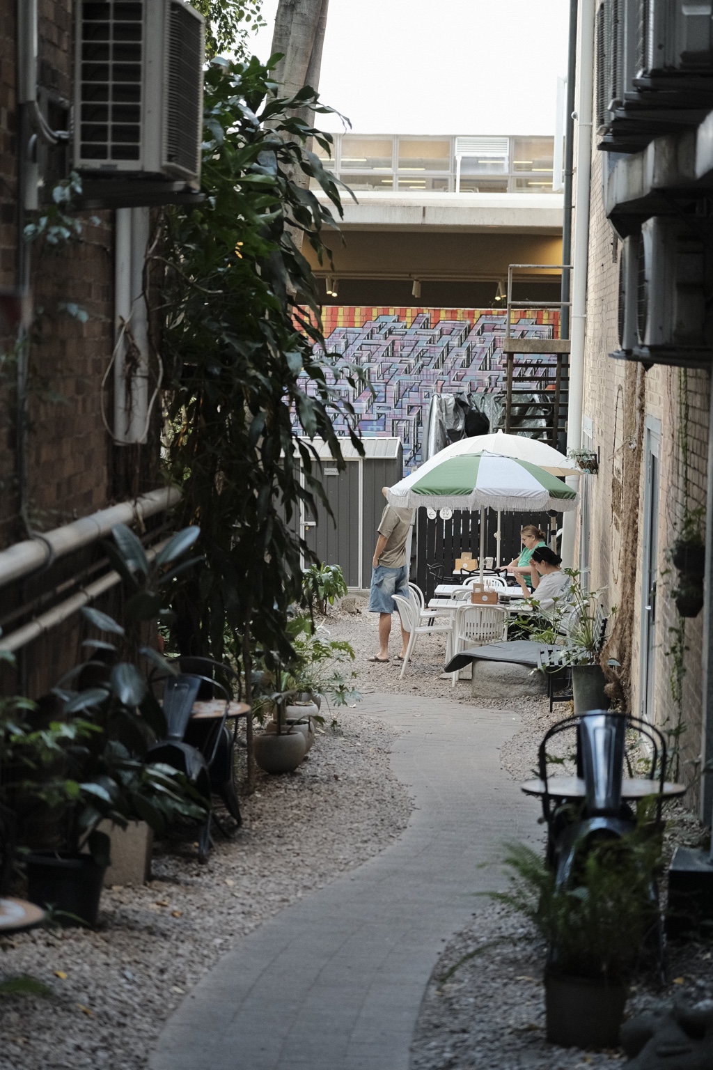 A narrow, leafy lane leading into the café courtyard