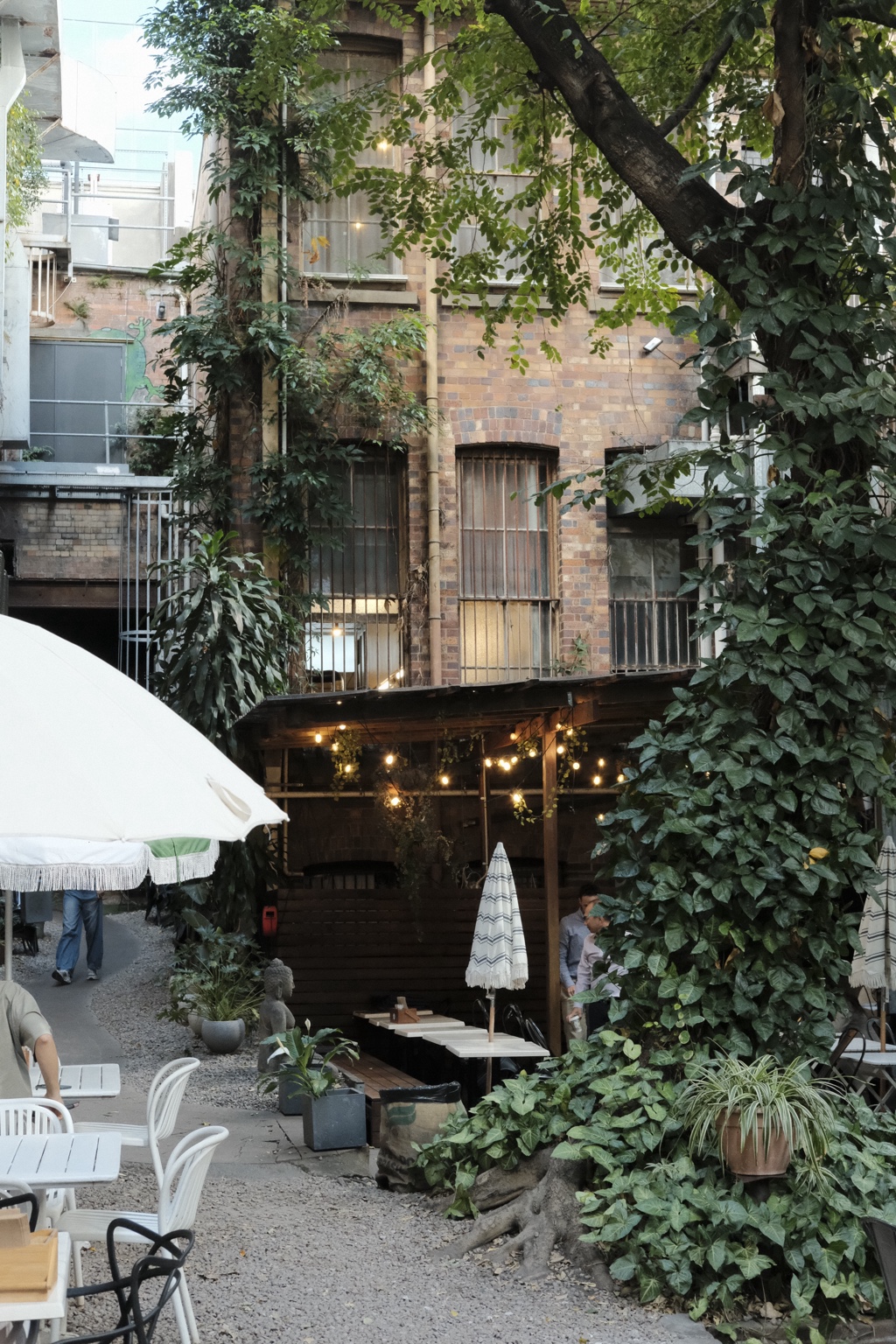 A view through the leafy courtyard toward the café