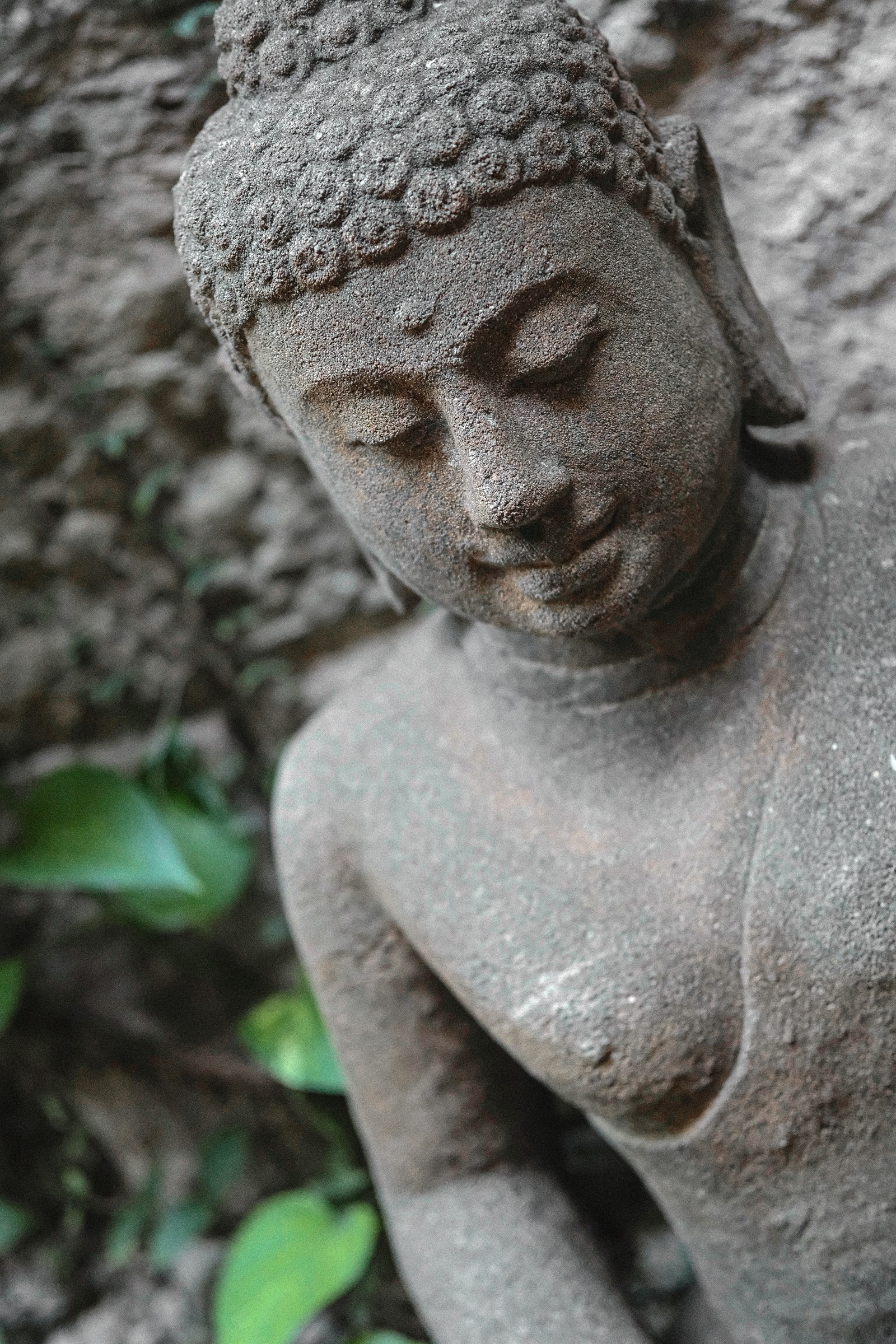 A close view of the weathered Buddha sculpture among garden leaves