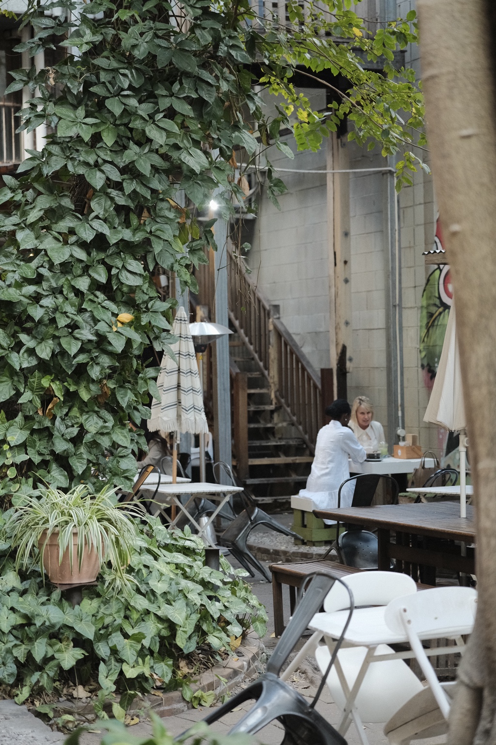A small courtyard table framed by climbing greenery