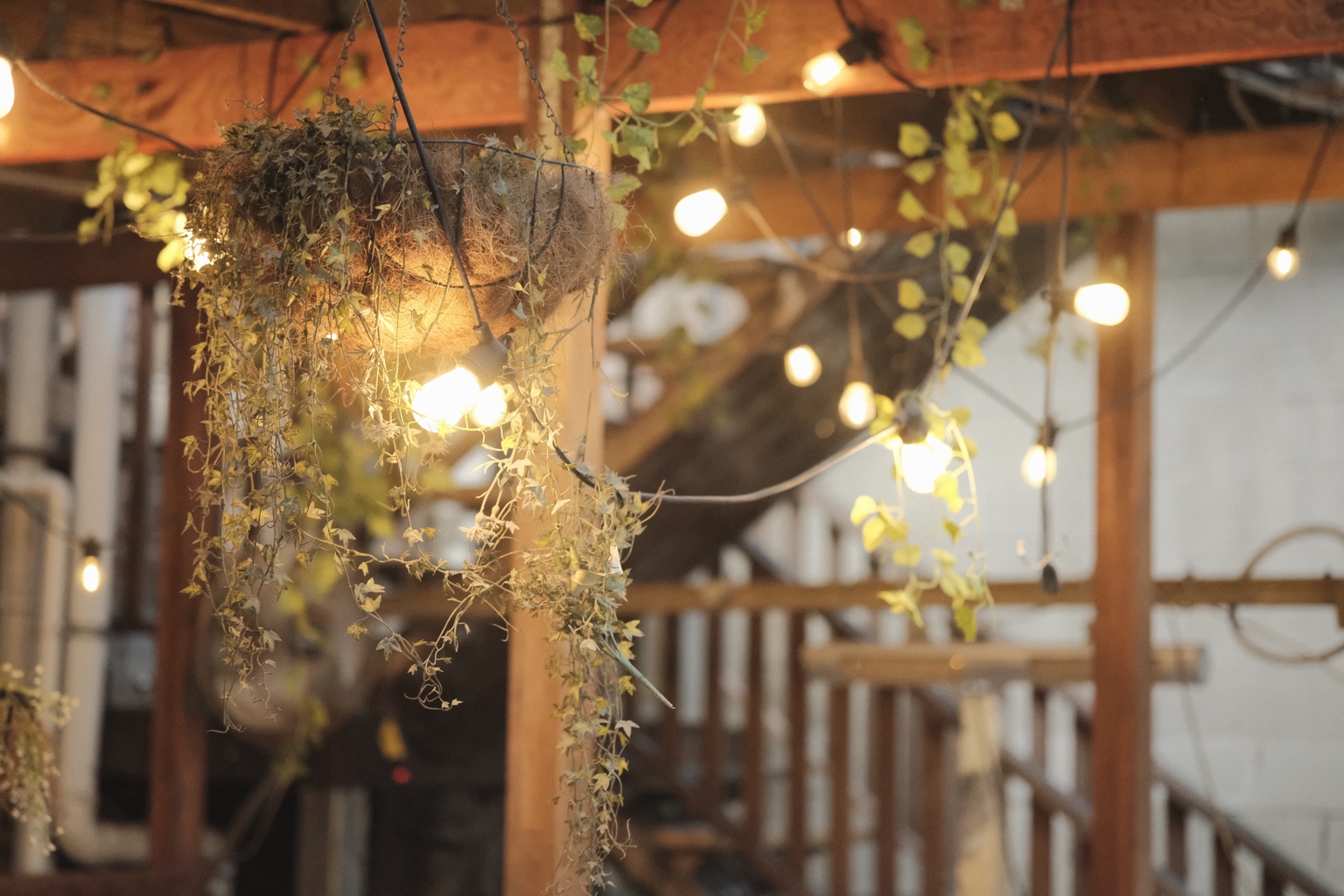 Warm pendant lights above timber seating